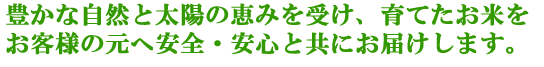 豊かな自然と太陽の恵みを受け、育てたお米をお客様の元へ安全・安心と共にお届けします。
