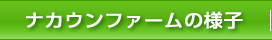 ナカウンファームの様子