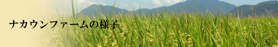 ナカウンファームの様子