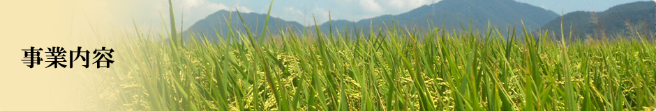 事業内容