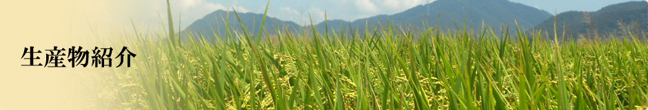 生産物紹介